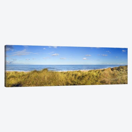 Grass on the beachHorsey Beach, Norfolk, England Canvas Print #PIM9733} by Panoramic Images Canvas Wall Art