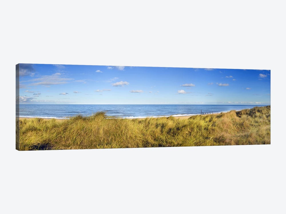 Grass on the beachHorsey Beach, Norfolk, England by Panoramic Images 1-piece Canvas Artwork