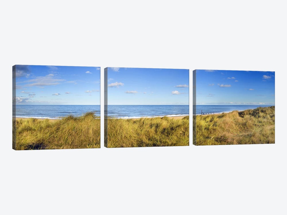 Grass on the beachHorsey Beach, Norfolk, England by Panoramic Images 3-piece Canvas Artwork