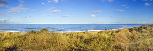 Royal Blue: Grass on the beachHorsey Beach, Norfolk, England by Panoramic Images