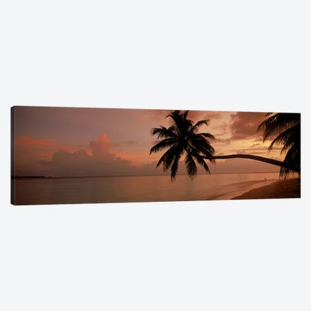 Silhouette of palm trees on the beach at sunriseFihalhohi Island, Maldives Canvas Print #PIM9770} by Panoramic Images Canvas Wall Art