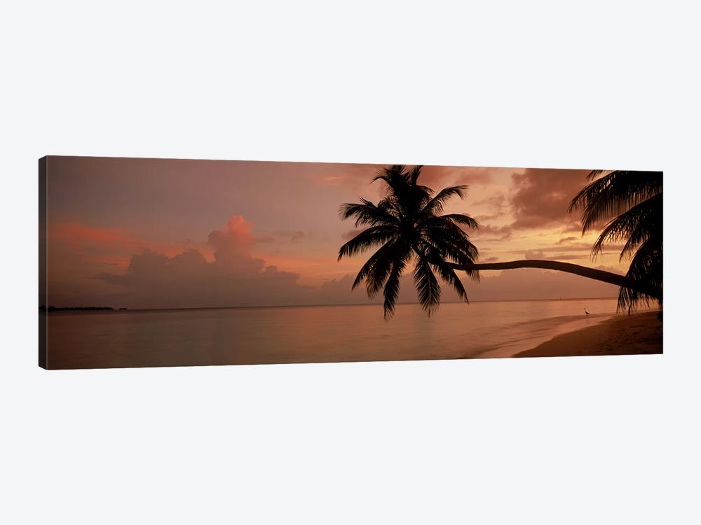 Silhouette of palm trees on the beach at sunriseFihalhohi Island, Maldives by Panoramic Images 1-piece Art Print