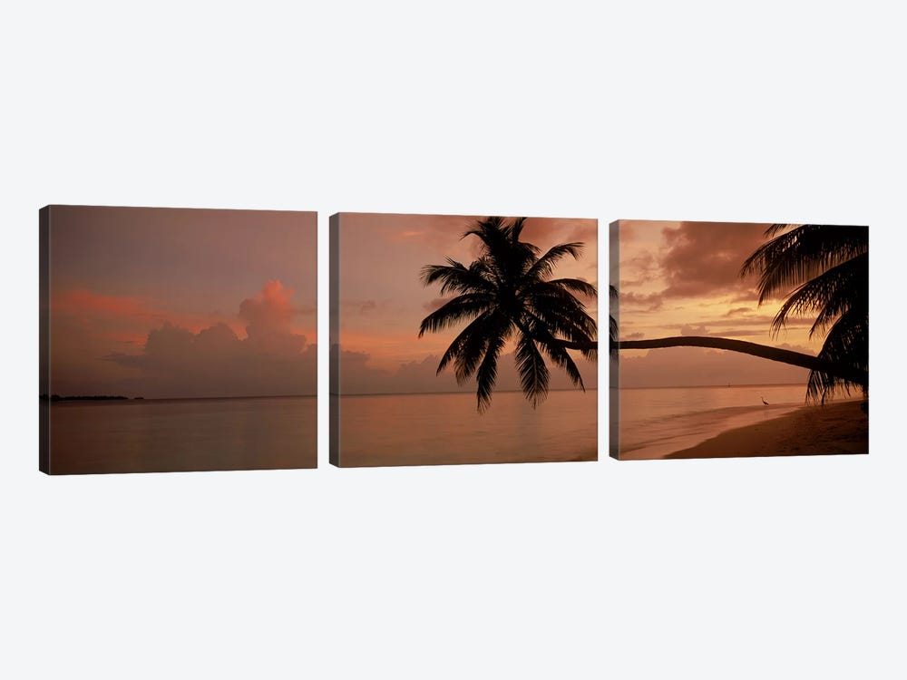 Silhouette of palm trees on the beach at sunriseFihalhohi Island, Maldives by Panoramic Images 3-piece Canvas Art Print