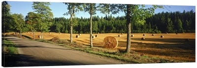 Hay bales in a field, Flens, Sweden Canvas Art Print