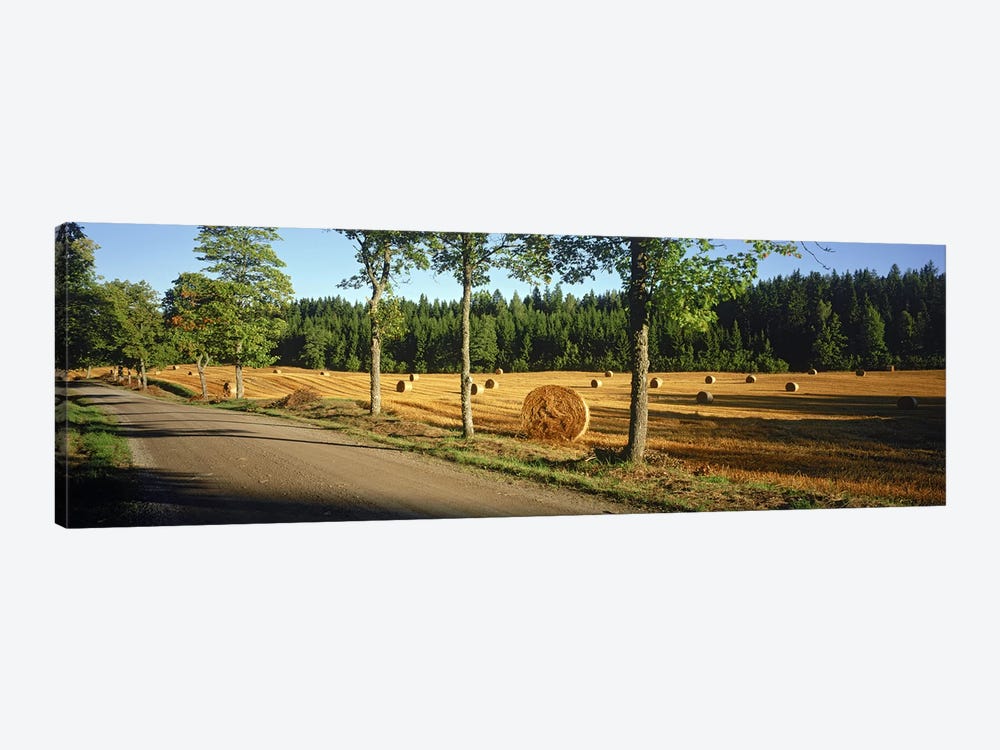 Hay bales in a field, Flens, Sweden by Panoramic Images 1-piece Art Print