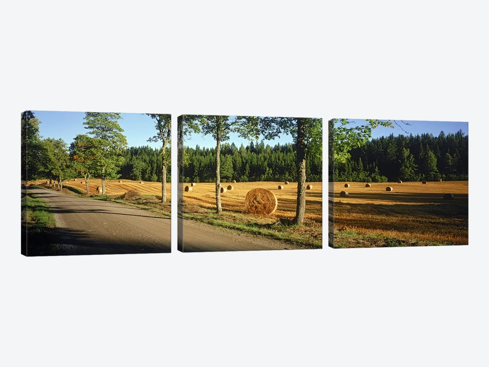 Hay bales in a field, Flens, Sweden by Panoramic Images 3-piece Canvas Art Print