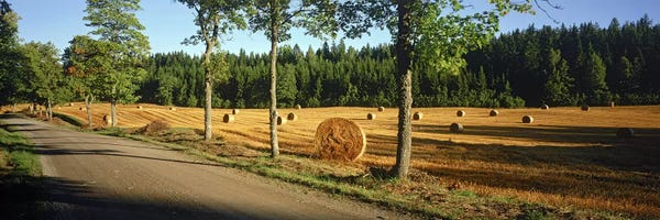 Sweden: Hay bales in a field, Flens, Sweden by Panoramic Images