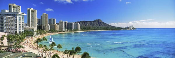 Panoramic Images: Palm Trees On The Beach II, Diamond Head, Waikiki Beach, Oahu, Honolulu, Hawaii, USA by Panoramic Images