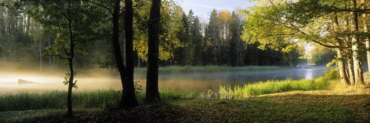 Morning Mist Rising from The Dal River In A Forest Landscape, Sweden