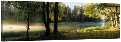 Morning Mist Rising from The Dal River In A Forest Landscape, Sweden Canvas Art Print - Sweden Art