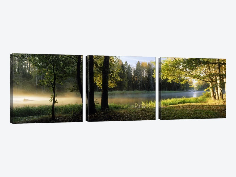 Morning Mist Rising from The Dal River In A Forest Landscape, Sweden by Panoramic Images 3-piece Canvas Art
