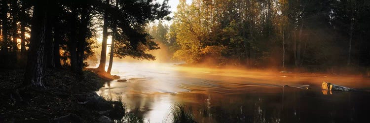 Fog over a riverDal River, Sweden by Panoramic Images wall art