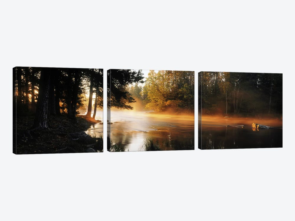 Fog over a riverDal River, Sweden by Panoramic Images 3-piece Canvas Print