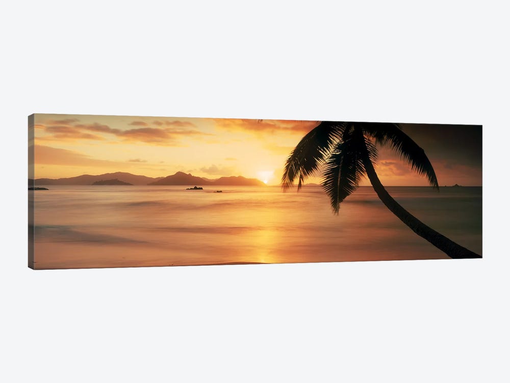 Silhouette of a palm tree on the beach at sunsetAnse Severe, La Digue Island, Seychelles by Panoramic Images 1-piece Canvas Artwork