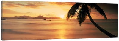 Silhouette of a palm tree on the beach at sunsetAnse Severe, La Digue Island, Seychelles Canvas Art Print - Seychelles
