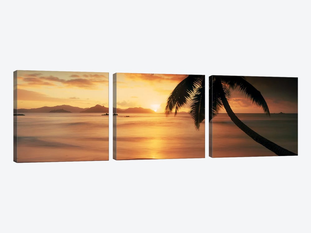 Silhouette of a palm tree on the beach at sunsetAnse Severe, La Digue Island, Seychelles by Panoramic Images 3-piece Canvas Artwork