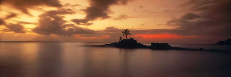 Silhouette of a palm tree on an island at sunsetAnse Severe, La Digue Island, Seychelles