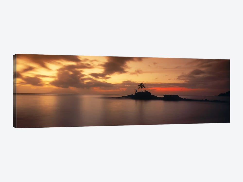 Silhouette of a palm tree on an island at sunsetAnse Severe, La Digue Island, Seychelles by Panoramic Images 1-piece Canvas Wall Art