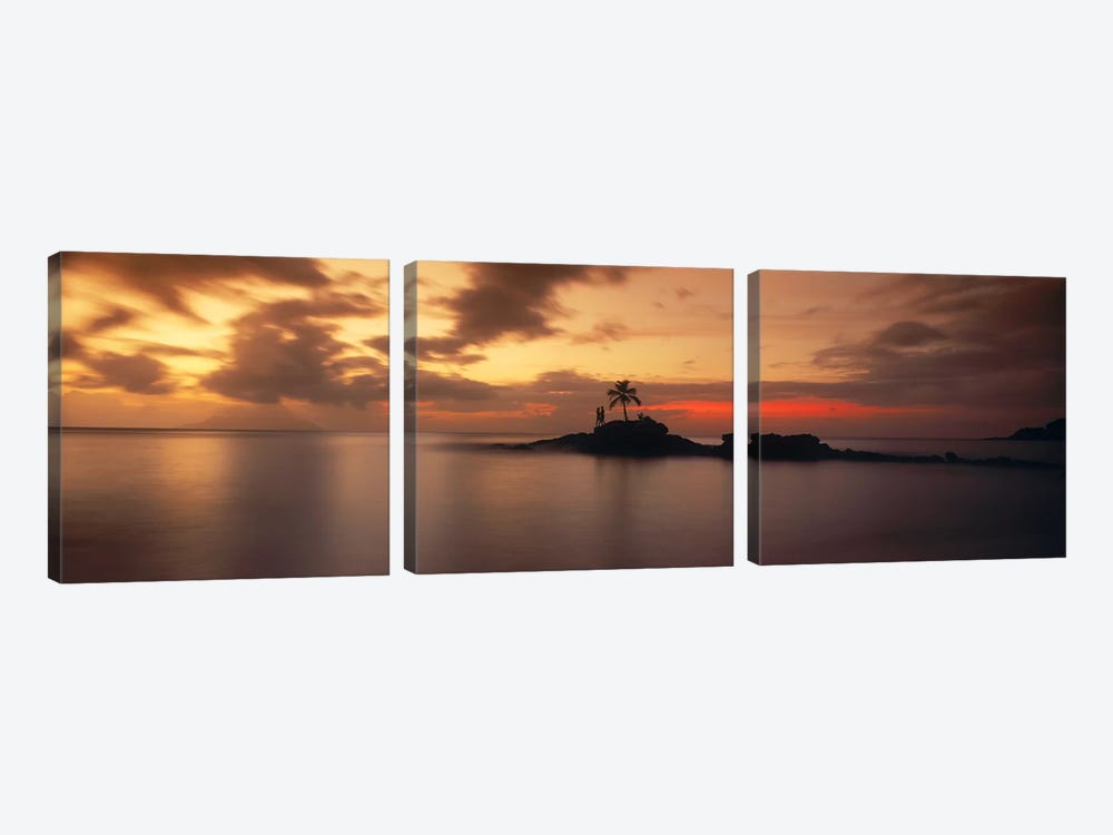 Silhouette of a palm tree on an island at sunsetAnse Severe, La Digue Island, Seychelles by Panoramic Images 3-piece Canvas Art