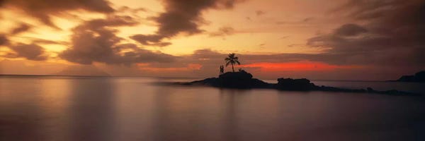 Ocean Sunrises & Sunsets: Silhouette of a palm tree on an island at sunsetAnse Severe, La Digue Island, Seychelles by Panoramic Images