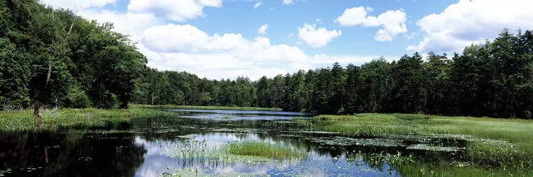 Reflection of clouds in a pondAdirondack Mountains, New York State, USA