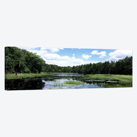 Reflection of clouds in a pondAdirondack Mountains, New York State, USA Canvas Print #PIM9868} by Panoramic Images Canvas Artwork