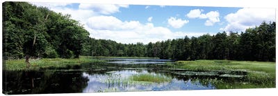 Reflection of clouds in a pondAdirondack Mountains, New York State, USA Canvas Art Print - Pond Art