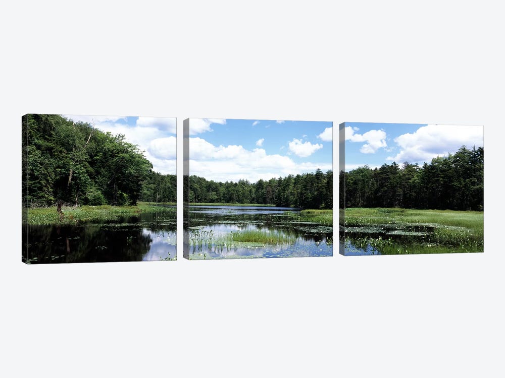 Reflection of clouds in a pondAdirondack Mountains, New York State, USA by Panoramic Images 3-piece Canvas Artwork