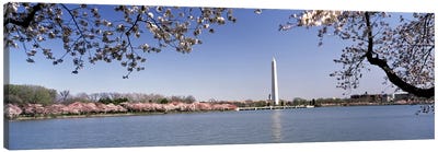 Cherry blossom with monument in the backgroundWashington Monument, Tidal Basin, Washington DC, USA Canvas Art Print - Washington D.C. Art