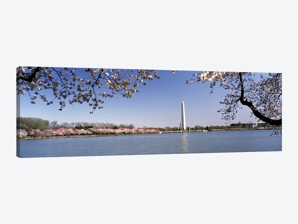 Cherry blossom with monument in the backgroundWashington Monument, Tidal Basin, Washington DC, USA by Panoramic Images 1-piece Canvas Print