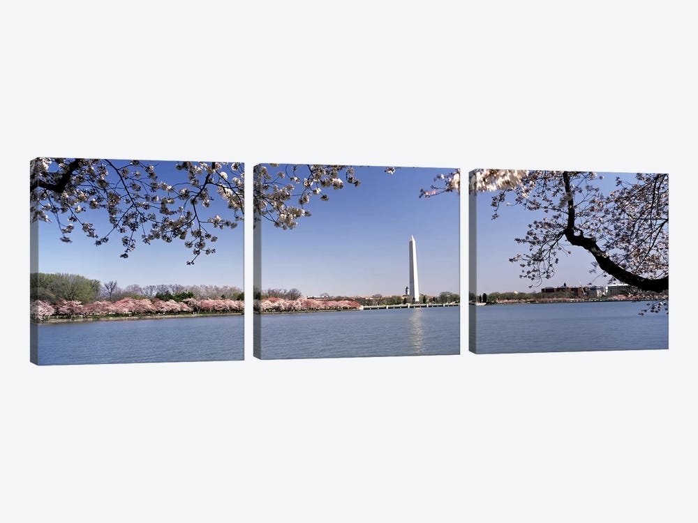 Cherry blossom with monument in the backgroundWashington Monument, Tidal Basin, Washington DC, USA by Panoramic Images 3-piece Art Print