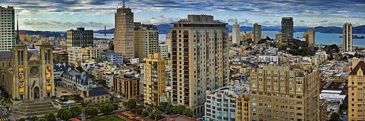 Buildings in a city looking over Pacific Heights from Nob Hill, San Francisco, California, USA 2011