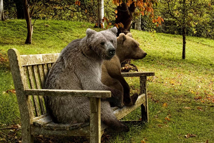 Bears sitting on a bench