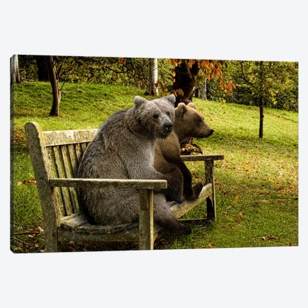 Bears sitting on a bench Canvas Print #PIM9918} by Panoramic Images Canvas Wall Art