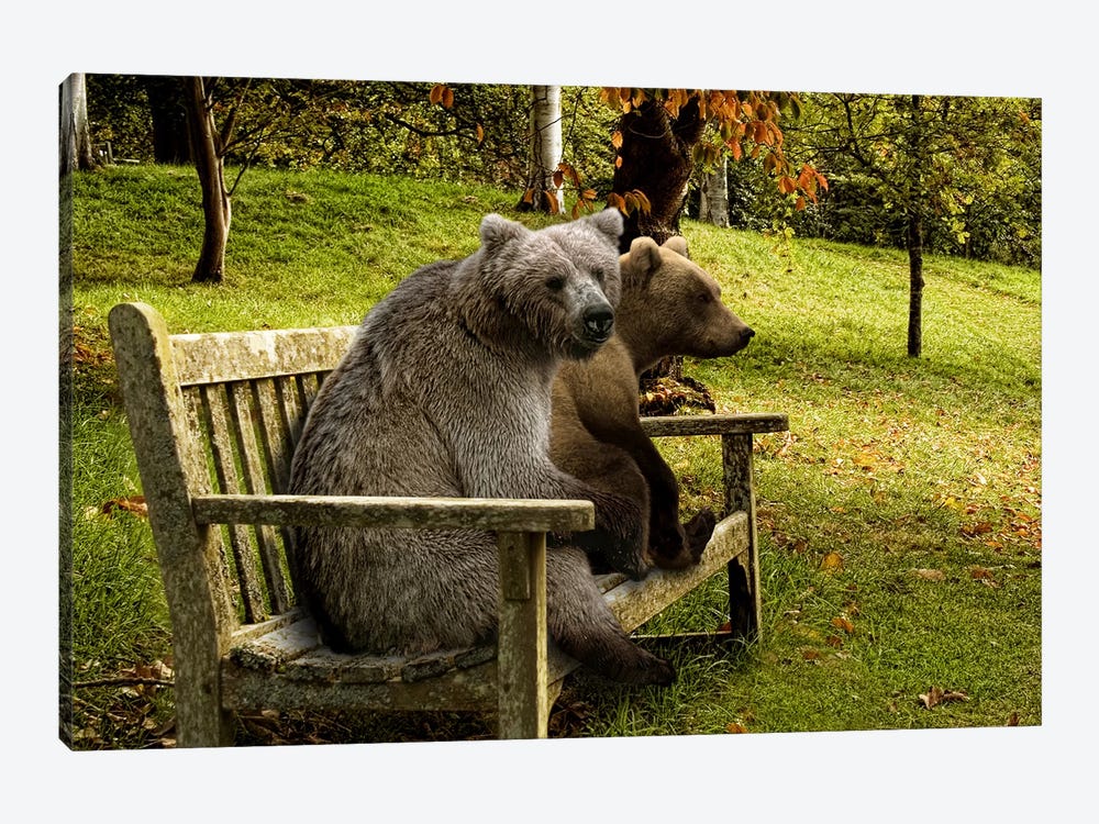 Bears sitting on a bench by Panoramic Images 1-piece Canvas Wall Art