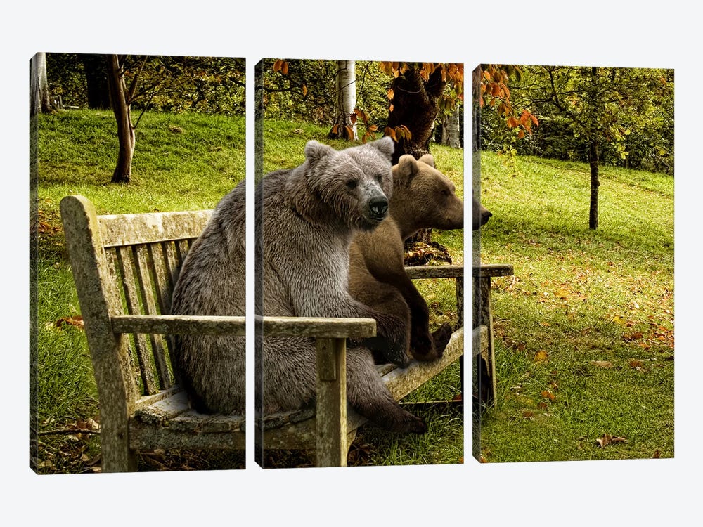 Bears sitting on a bench by Panoramic Images 3-piece Canvas Wall Art