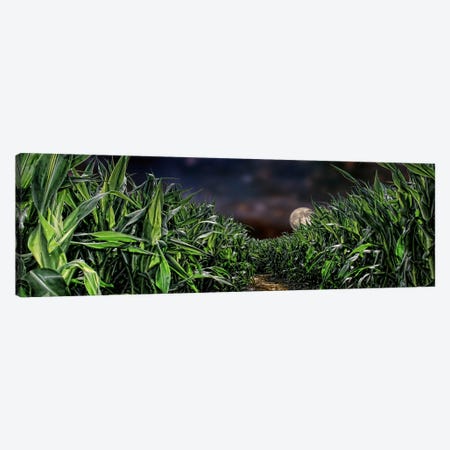 Dark corn field Canvas Print #PIM9919} by Panoramic Images Canvas Wall Art