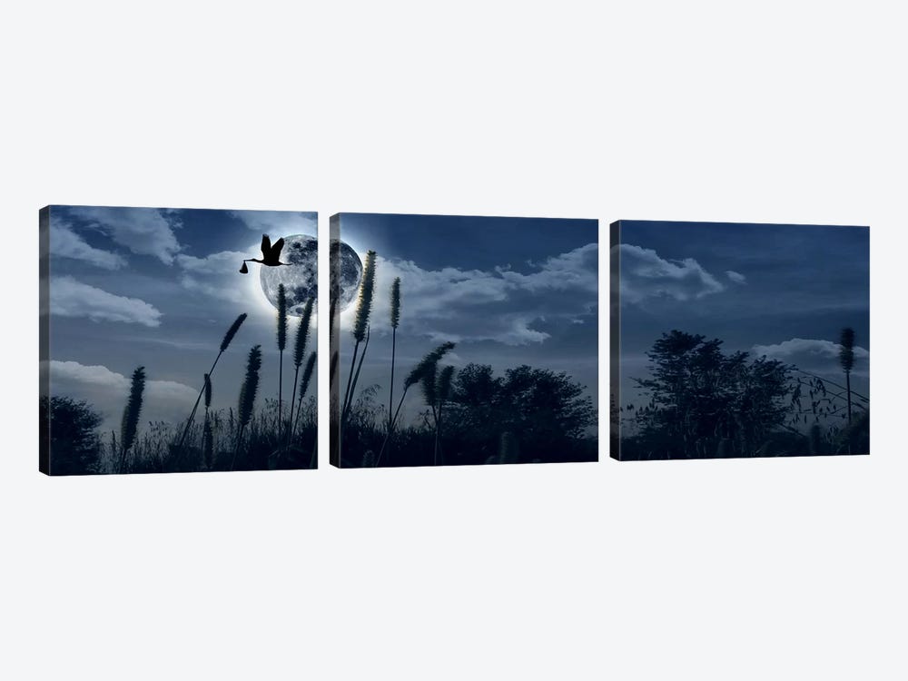 Stork flying with baby in beak over moon by Panoramic Images 3-piece Canvas Artwork