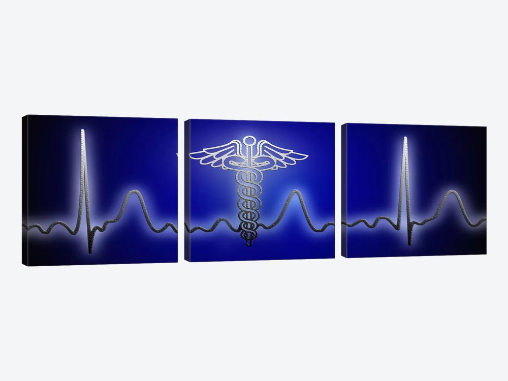 EKG with Caduceus symbol by Panoramic Images 3-piece Canvas Art