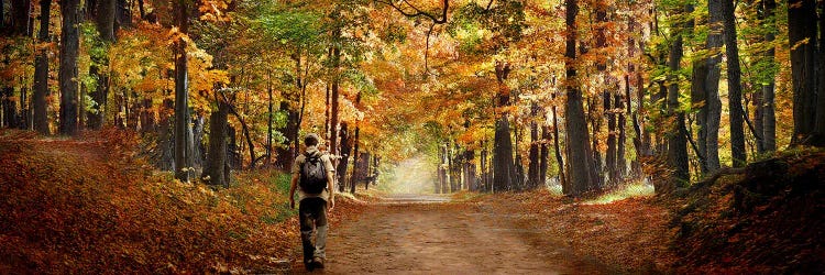 Kid with backpack walking in fall colors by Panoramic Images wall art