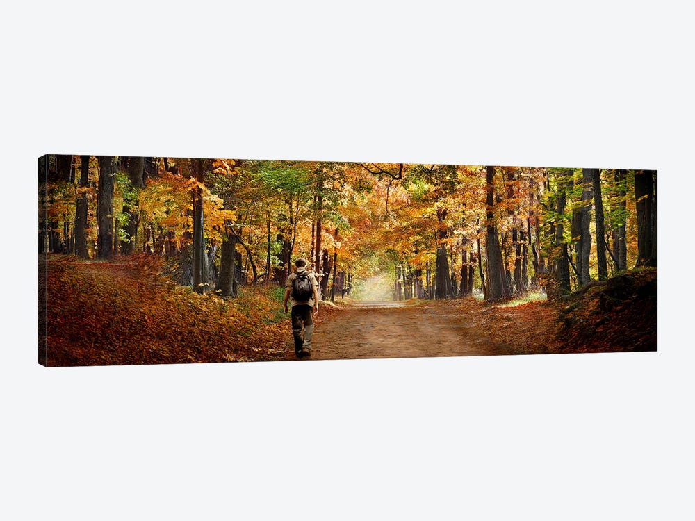 Kid with backpack walking in fall colors by Panoramic Images 1-piece Canvas Art Print
