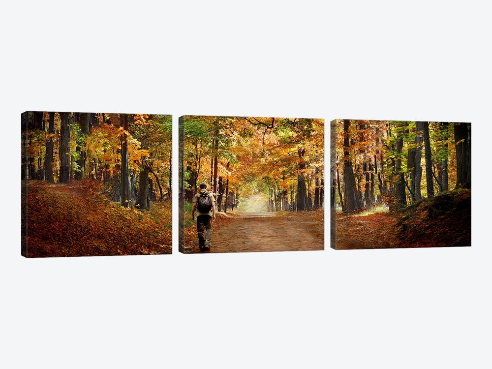 Kid with backpack walking in fall colors by Panoramic Images 3-piece Canvas Print