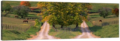 Two dirt roads passing through farms in autumn Canvas Art Print - Countryside Art
