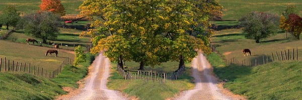 Two dirt roads passing through farms in autumn
