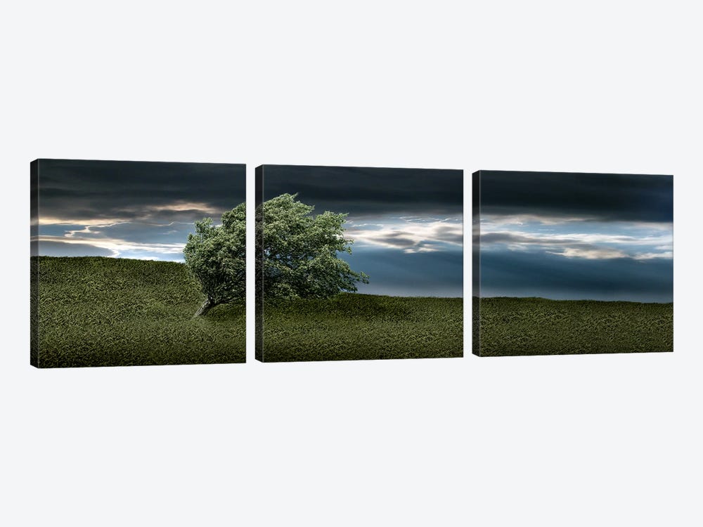 Tree swaying in storm by Panoramic Images 3-piece Canvas Artwork