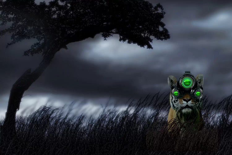 Tiger wearing night vision goggles