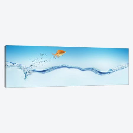 Goldfish jumping out of water Canvas Print #PIM9942} by Panoramic Images Canvas Print