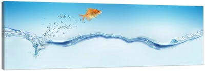 Goldfish jumping out of water Canvas Art Print - Goldfish Art