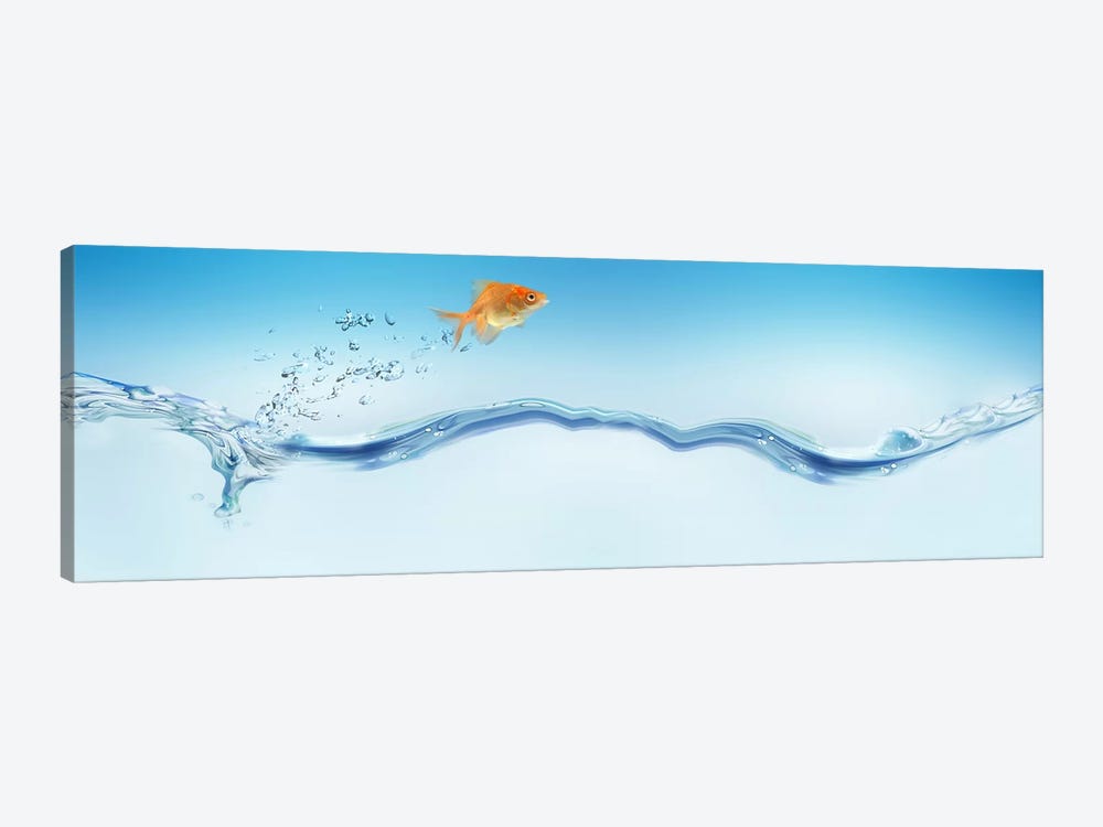 Goldfish jumping out of water by Panoramic Images 1-piece Canvas Print