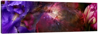 Close-up of galaxy with iris and tulips flowers Canvas Art Print - Ultra Enchanting